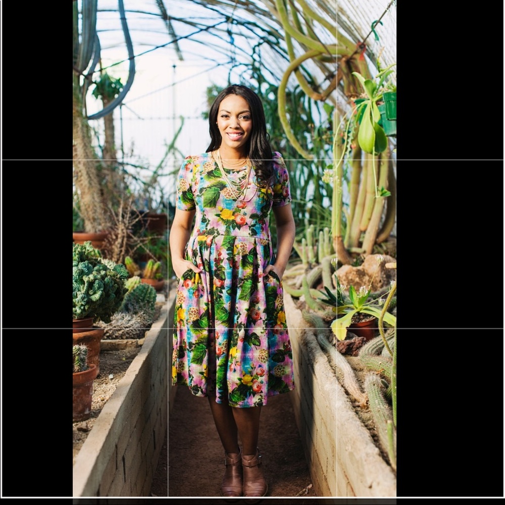 LulaRoe amelia